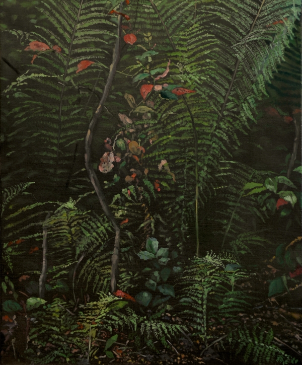 Fern, Oil, 50 x 60 cm