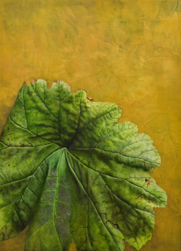 Butterbur II, Oil, 80 x 110 cm