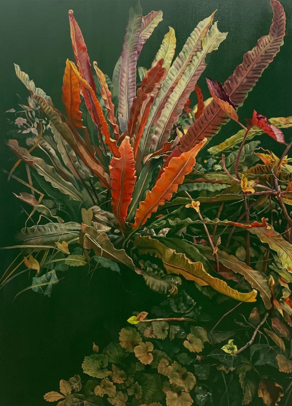 Hart´s tongue Fern I, Oil, 130 x 180 cm